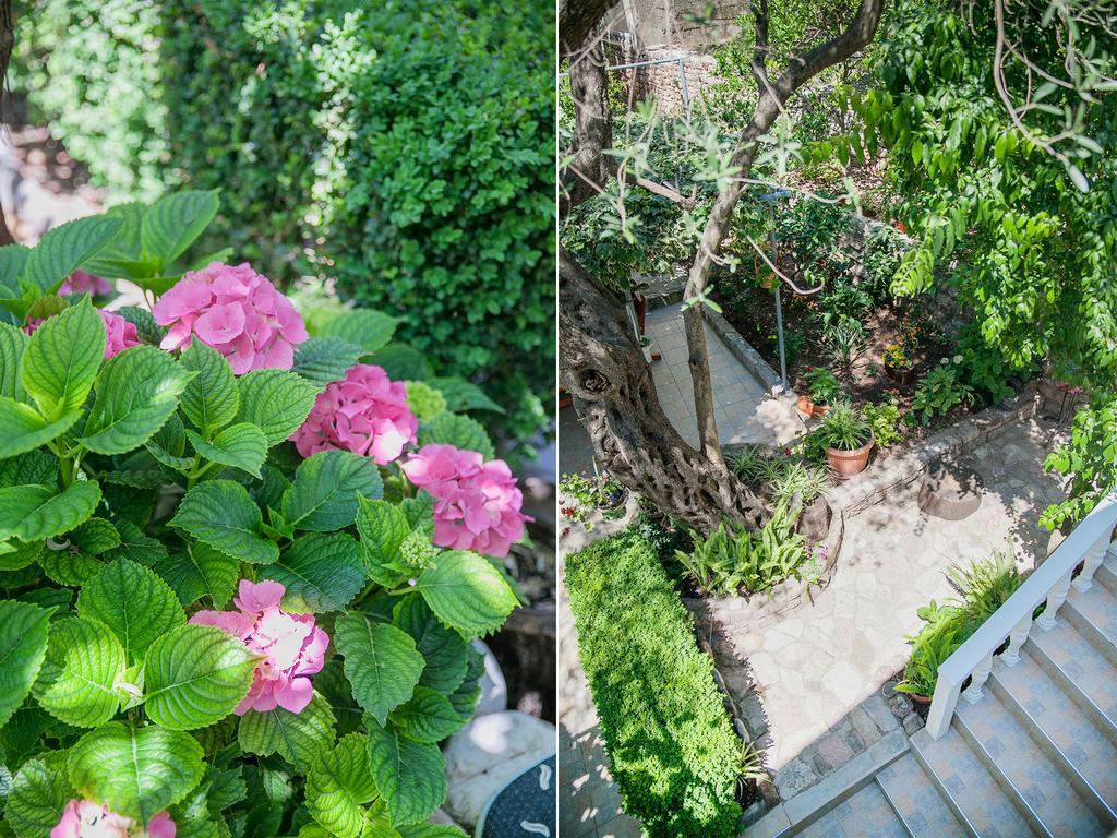 Rooms Garden Petrovac Luaran gambar