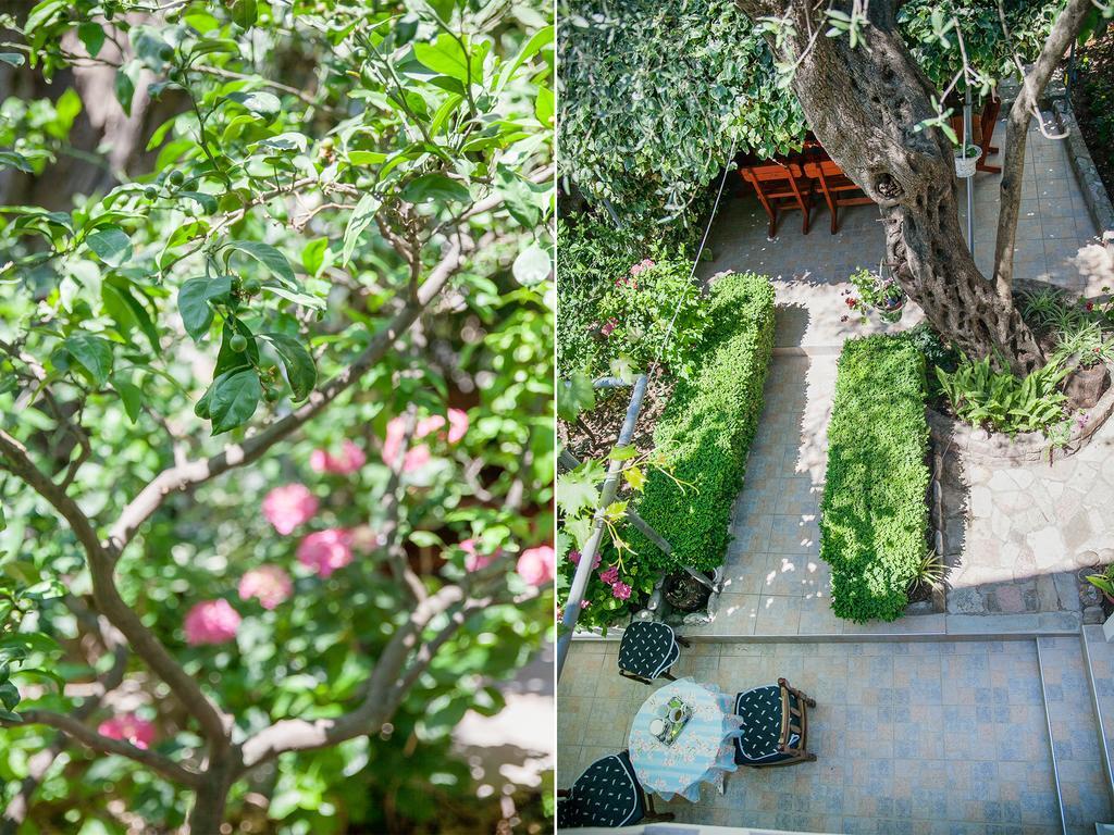 Rooms Garden Petrovac Luaran gambar