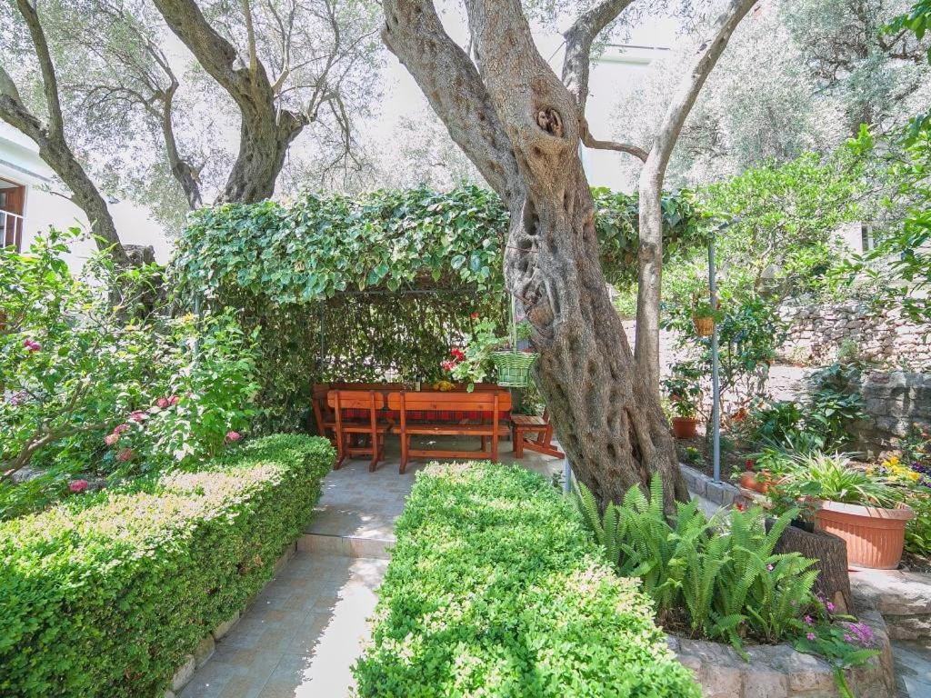 Rooms Garden Petrovac Bilik gambar